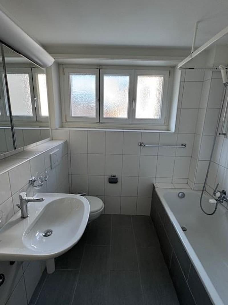 Appartement de 3 pièces dans un immeuble ancien (7)