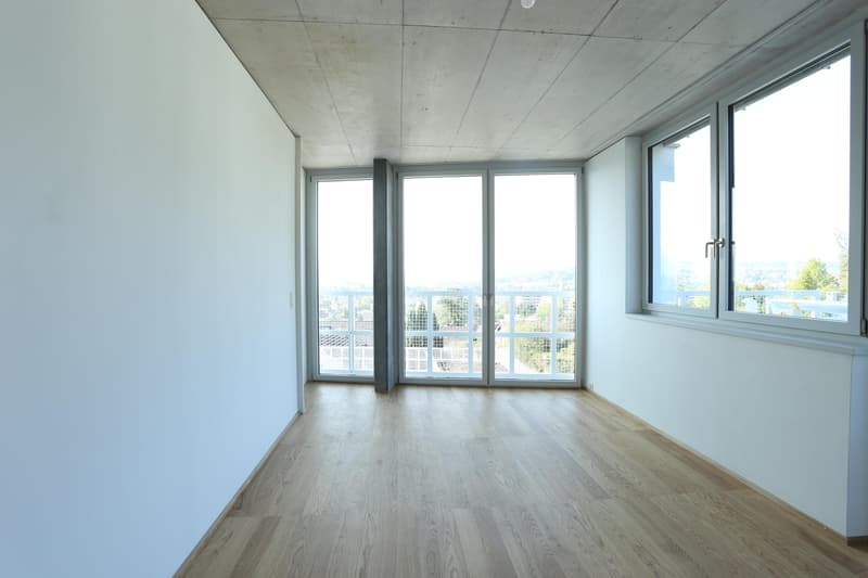 4.5 room apartment in Therwil (5)