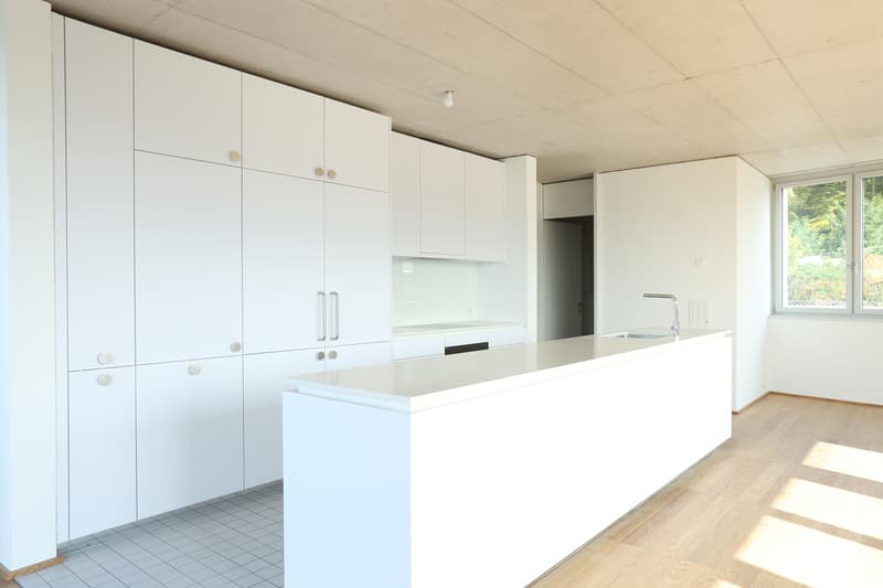 4.5 room apartment in Therwil (3)