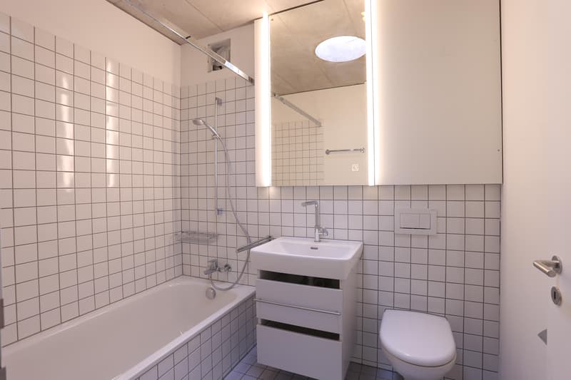4.5 room apartment in Therwil (6)