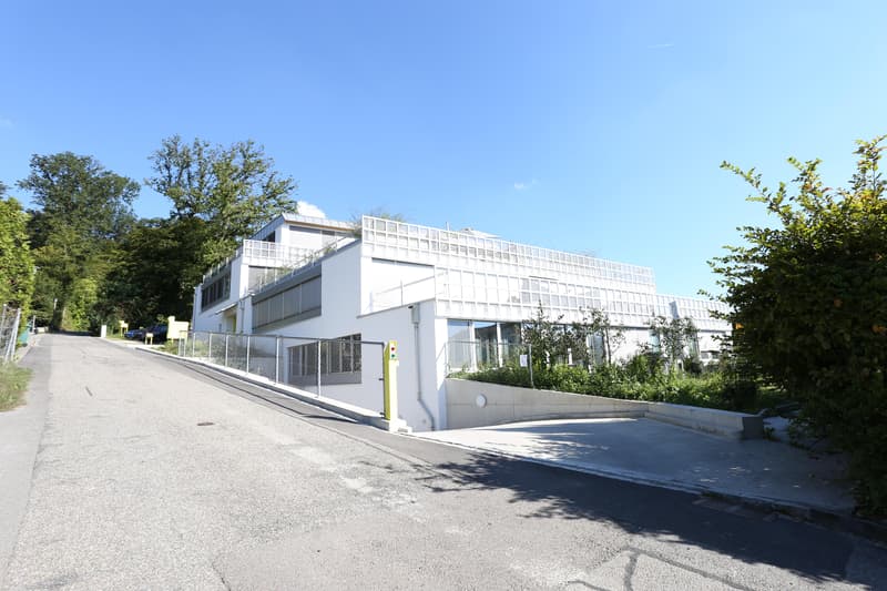4.5 room apartment in Therwil (2)