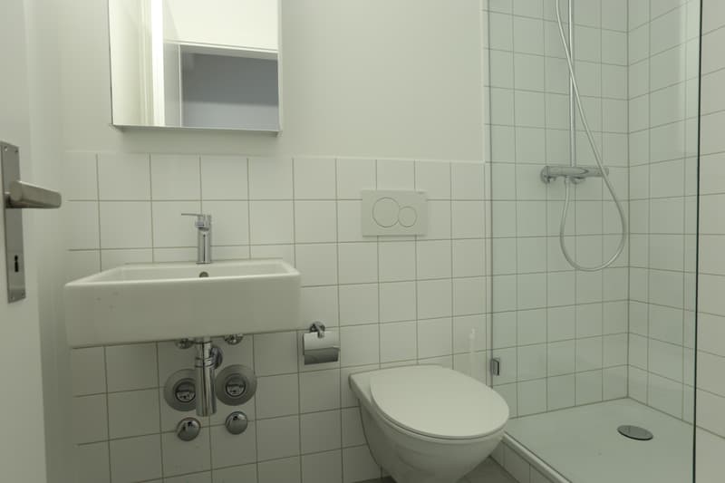 Appartement 1 pièce à Bâle (3)