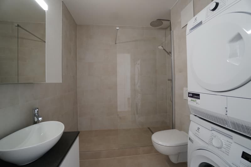 3.0 camere da letto appartamento ad Allschwil (4)