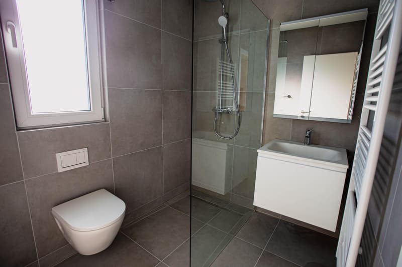 1.0 Zimmerwohnung in Therwil (3)