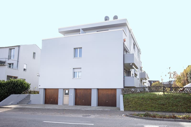 1.0 Zimmerwohnung in Therwil (1)