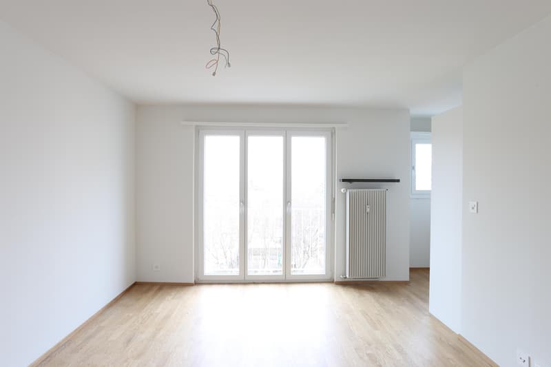 Appartement moderne 1 pièce à proximité de la gare SBB (1)