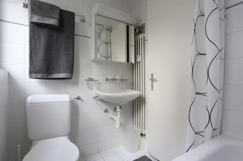 Modern möbliertes Apartmenthaus zwischen Wettsteinplatz und Roche (7)