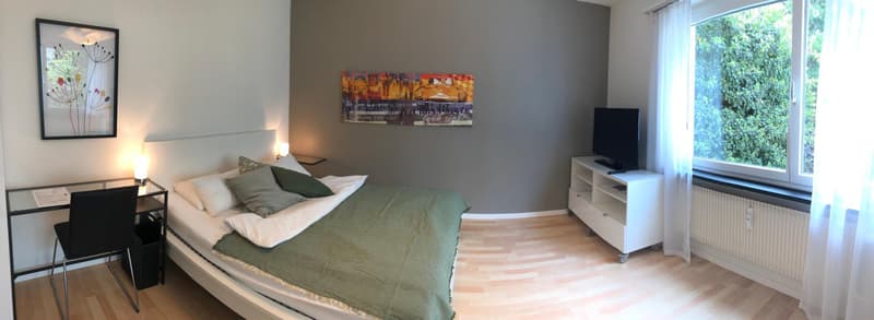 Modern möbliertes Apartmenthaus zwischen Wettsteinplatz und Roche (2)