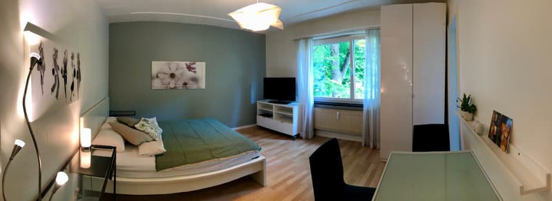 Modern möbliertes Apartmenthaus zwischen Wettsteinplatz und Roche (1)