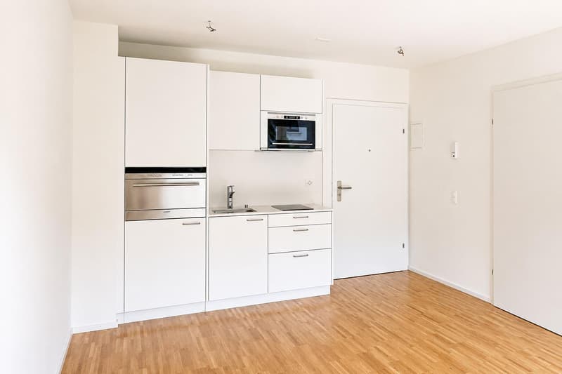 Appartement 1 pièce moderne à louer (2)