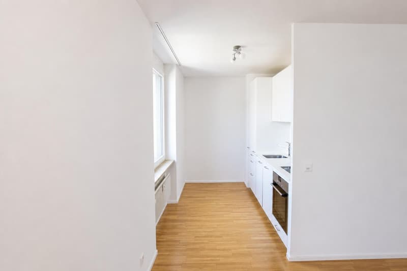 Appartement 2 pièces moderne à louer (2)