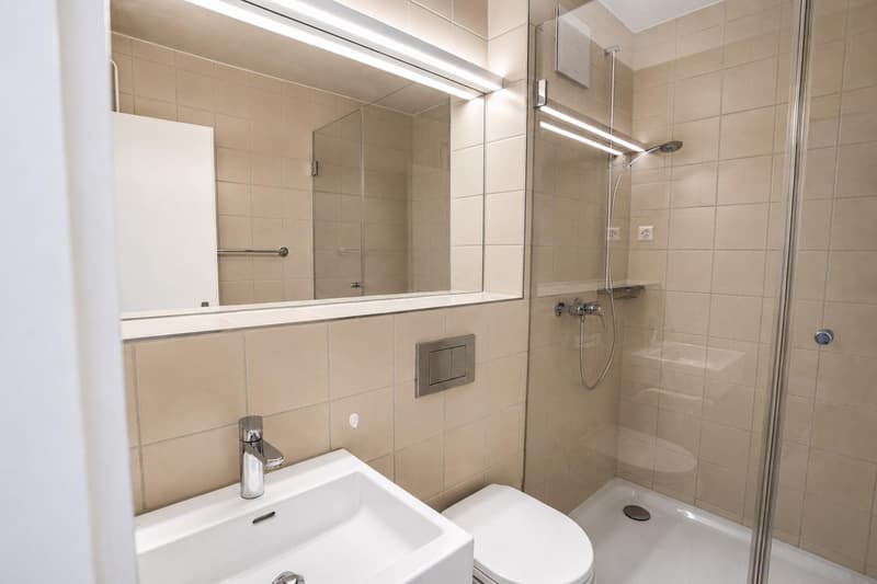 Appartement 2 pièces moderne à louer (4)