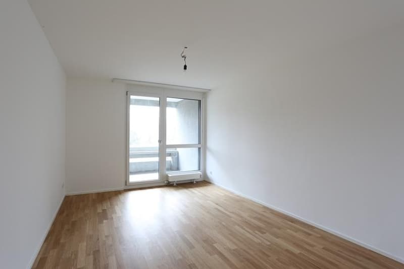 Appartamento moderno 3,5 locali vicino a Langen Erlen (5)