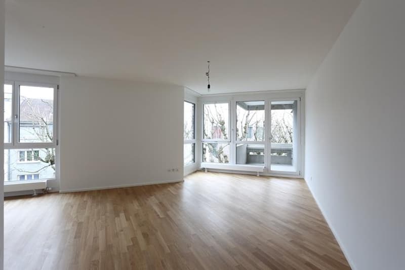 Appartamento moderno 3,5 locali vicino a Langen Erlen (3)