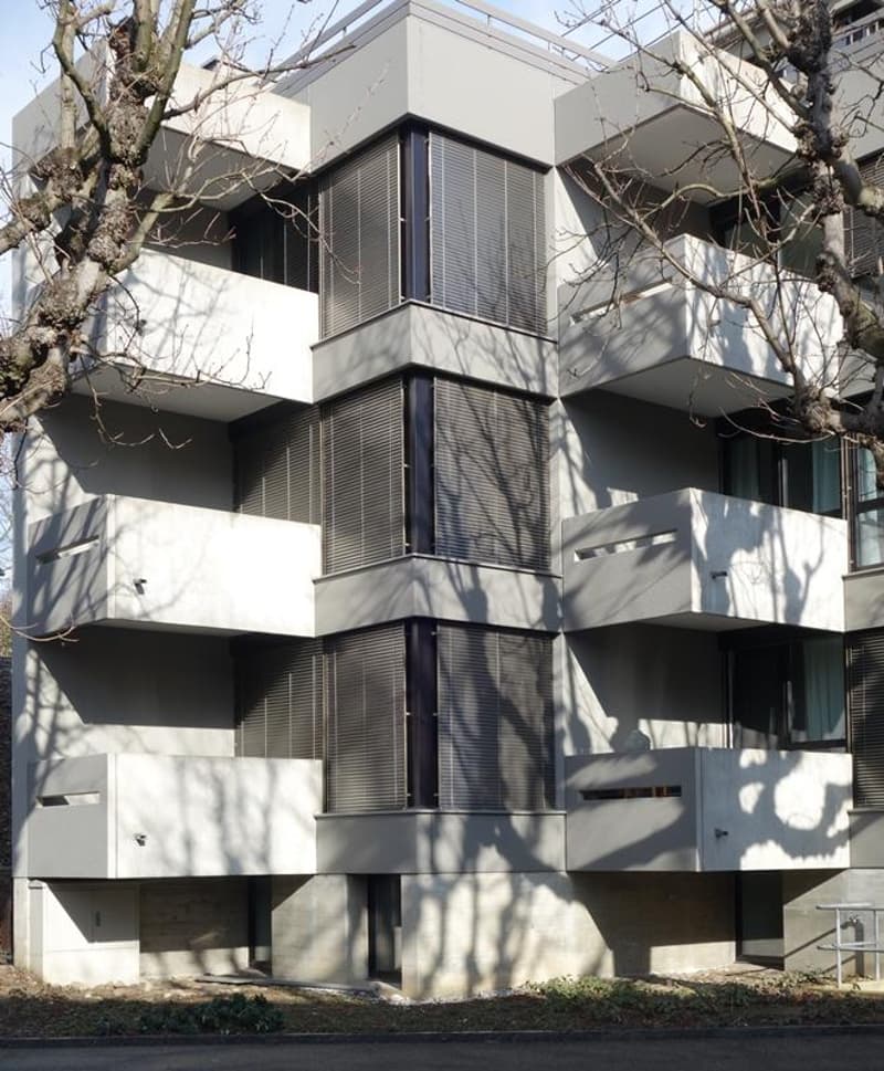 Appartamento moderno 3,5 locali vicino a Langen Erlen (1)