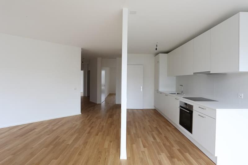 Appartamento moderno 3,5 locali vicino a Langen Erlen (2)