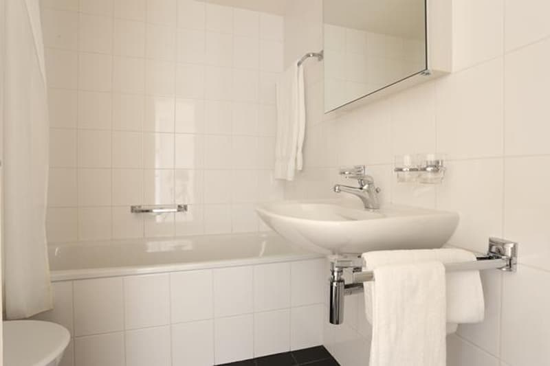 Appartamento di 3 locali attraente in una zona tranquilla (4)