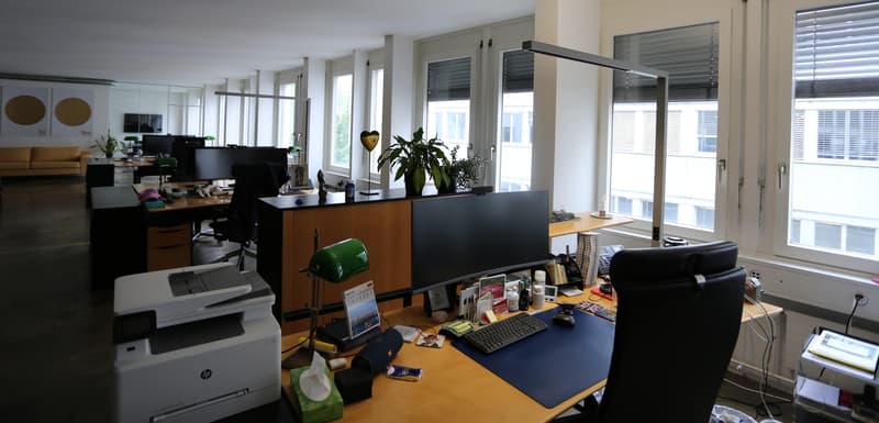 Representative office space near Aeschenplatz, approx. 347 m² (6)