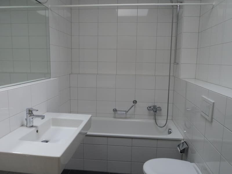 Vivere nel verde a Binningen - Appartamento a maisonnette 4,5 locali con carattere di casa (10)