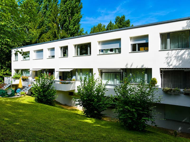 Vivere nel verde a Binningen - Appartamento a maisonnette 4,5 locali con carattere di casa (2)