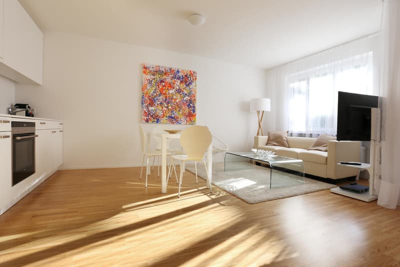 Appartements modernes meublés de 2 pièces dans un emplacement central (2)