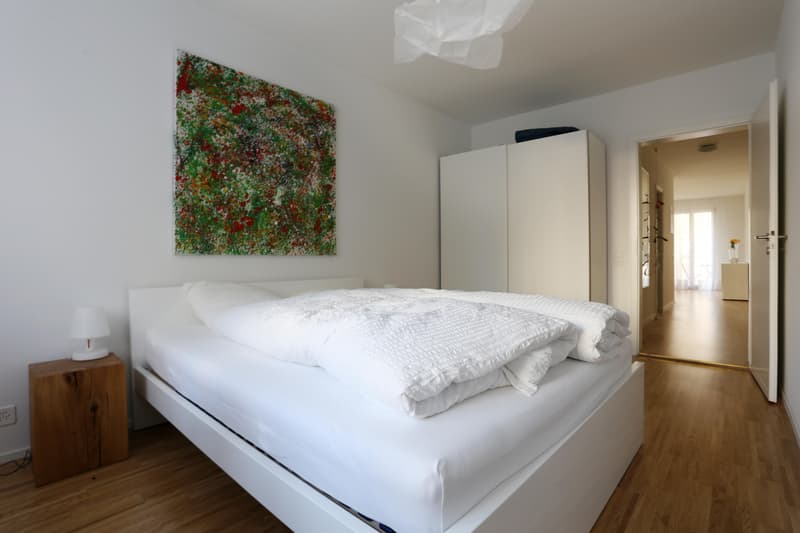 Appartements modernes meublés de 2 pièces dans un emplacement central (4)