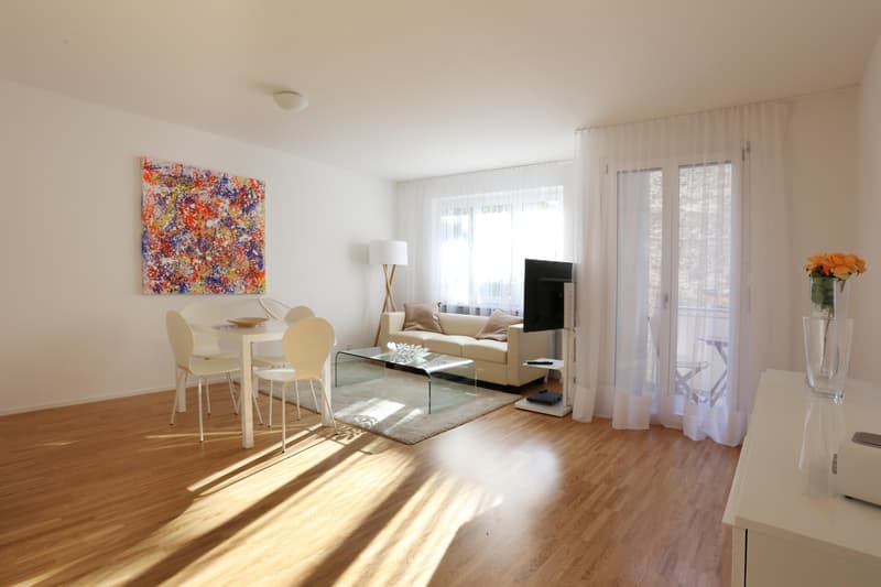Appartements modernes meublés de 2 pièces dans un emplacement central (3)