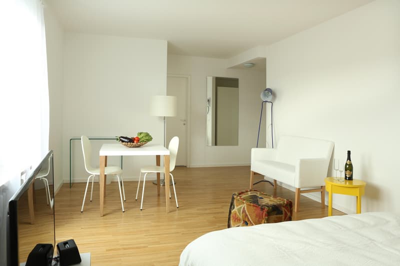 Furnished 1-room attic apartment with balcony (5)