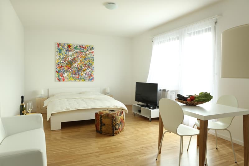 Furnished 1-room attic apartment with balcony (6)