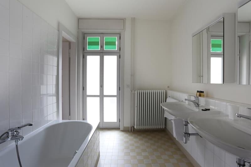 Appartamento arredato di 4 locali stiloso con balcone (7)