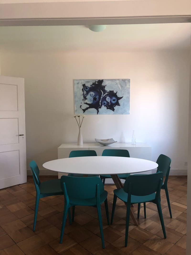 Appartamento arredato di 4 locali stiloso con balcone (5)