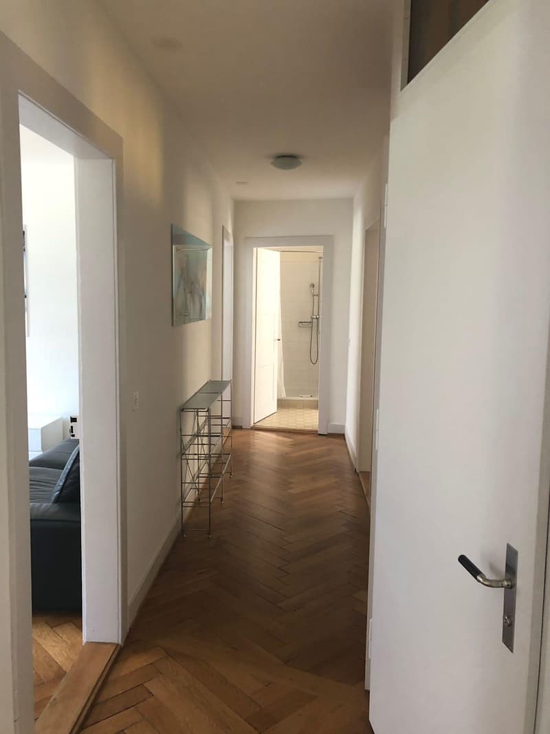 Appartamento arredato di 4 locali stiloso con balcone (6)