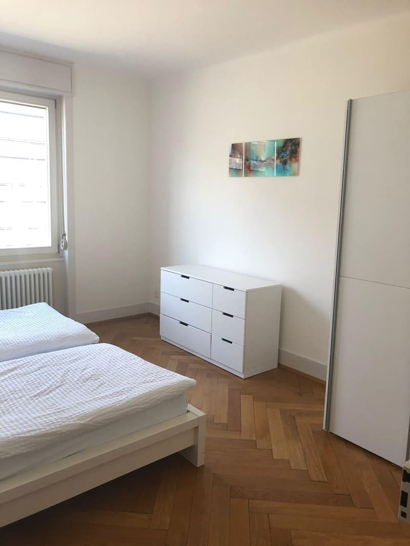 Appartamento arredato di 4 locali stiloso con balcone (4)