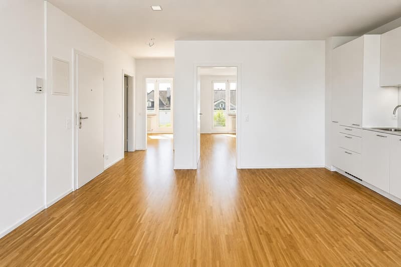 Moderne 3-Zimmer-Dachwohnung mit zwei Dachterrassen an zentraler Lage in Basel (2)