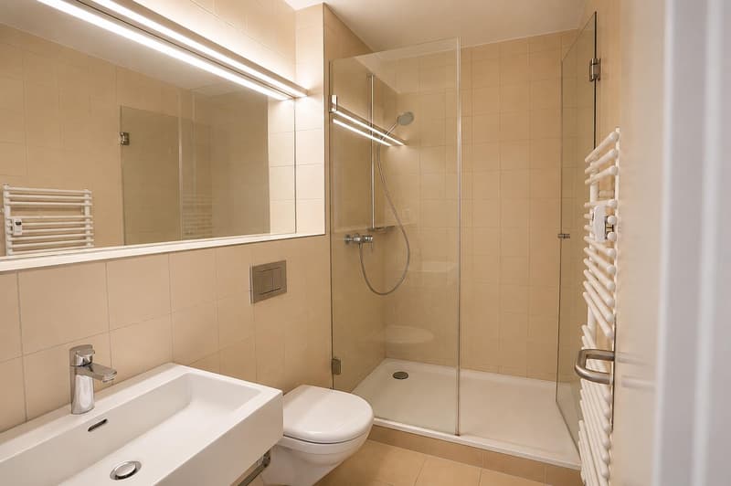 Moderne 3-Zimmer-Dachwohnung mit zwei Dachterrassen an zentraler Lage in Basel (6)