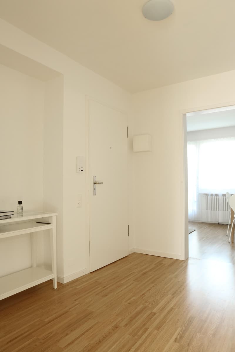 Furnished 2-room attic apartment with balcony (7)