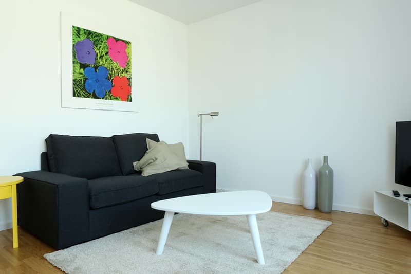 Furnished 2-room attic apartment with balcony (5)