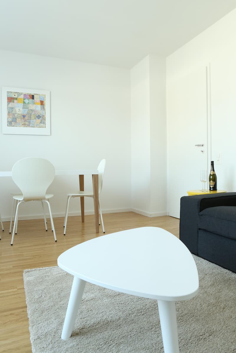 Furnished 2-room attic apartment with balcony (4)