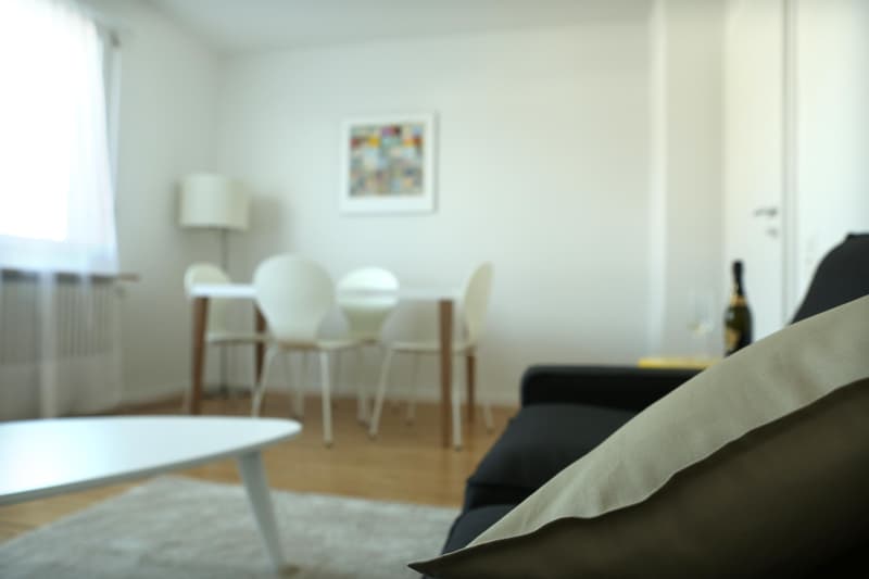 Furnished 2-room attic apartment with balcony (6)