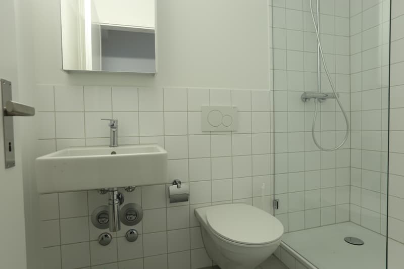 Modern 1-room apartment in central location in Basel (2)