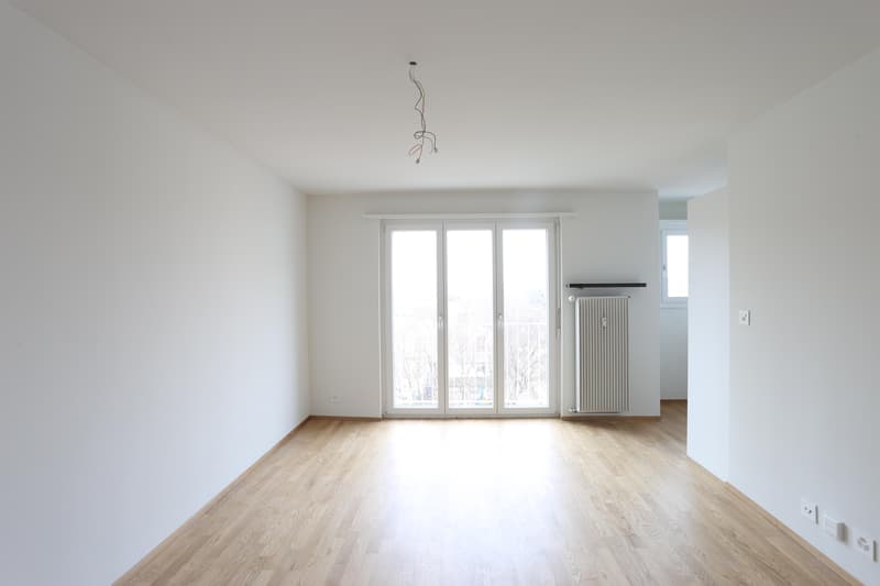 Modern 1-room apartment in central location in Basel (1)
