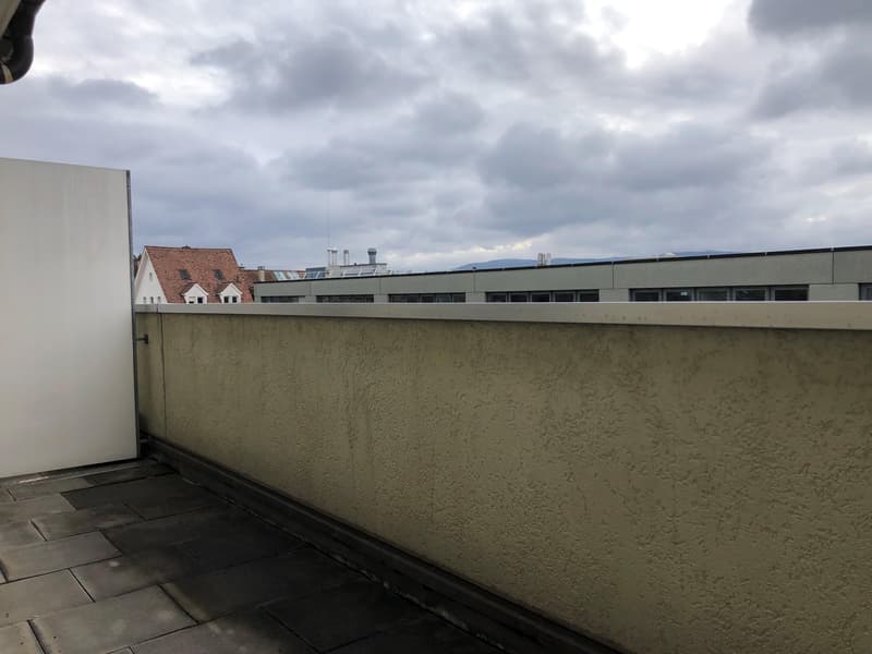 2.0 Zimmerwohnung in Basel (7)