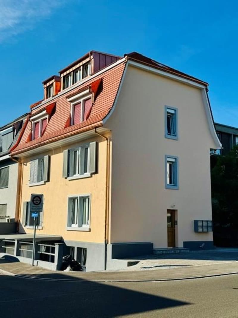 Small loft apartment under the roof (1)