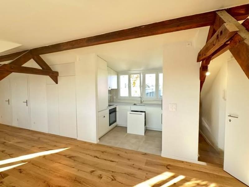 Small loft apartment under the roof (6)