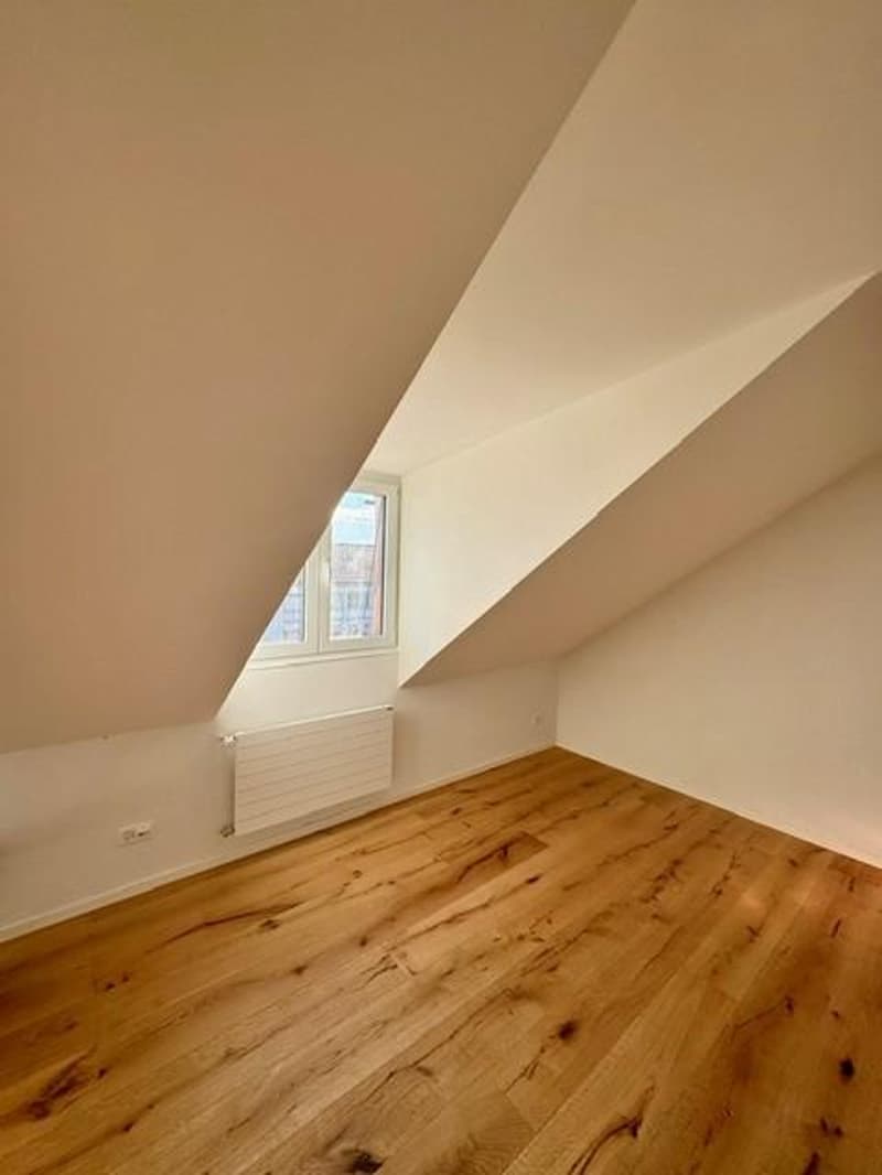 Small loft apartment under the roof (5)