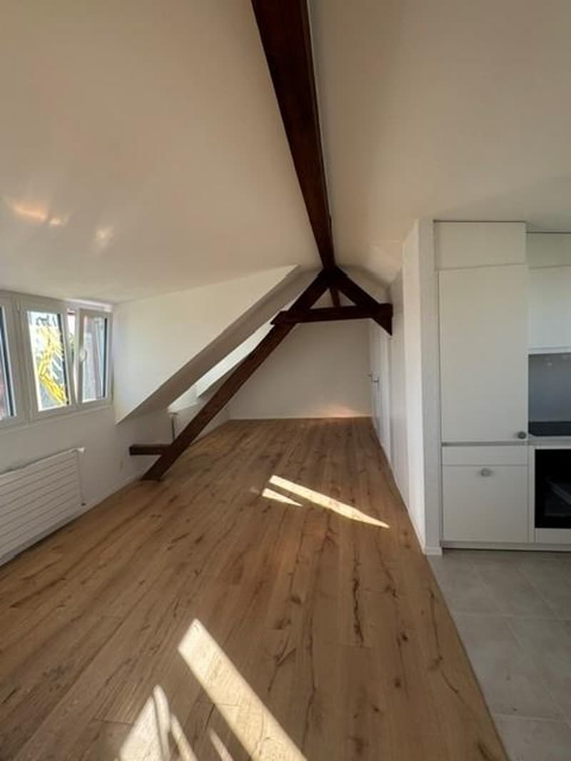 Small loft apartment under the roof (3)
