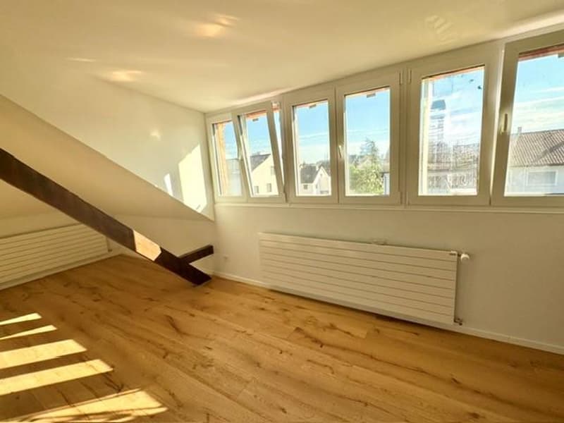 Small loft apartment under the roof (2)