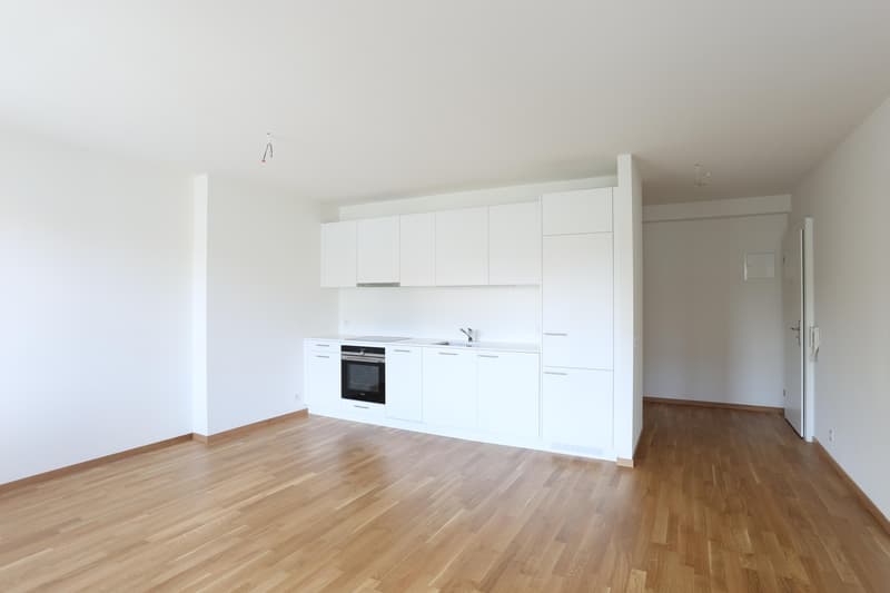 Renovated 3-room apartment near SBB train station (2)
