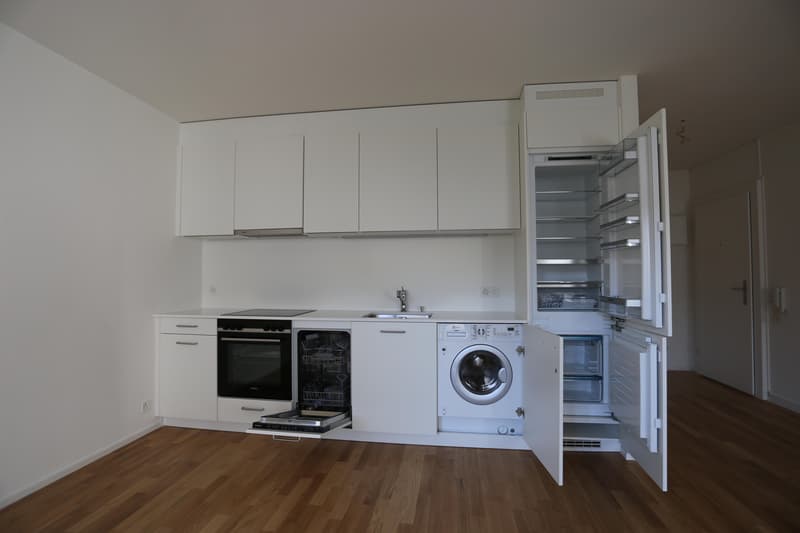 Renovated 3-room apartment near SBB train station (3)