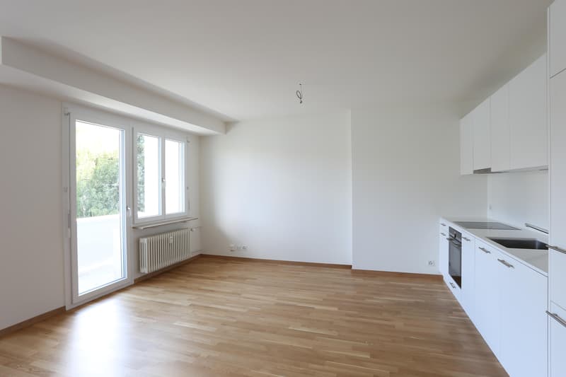 Renovated 3-room apartment near SBB train station (4)